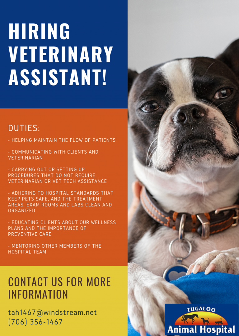 veterinarian-in-lavonia-ga-tugaloo-animal-hospital