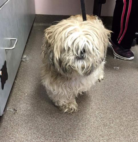 Before - Shaggy